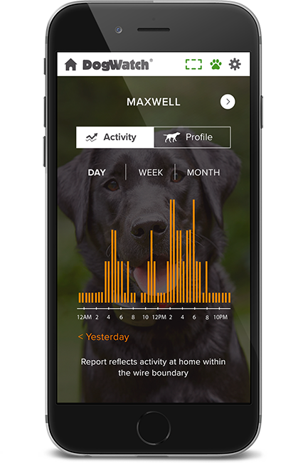 Northern Colorado DogWatch, Johnstown, Colorado | SmartFence WebApp Image