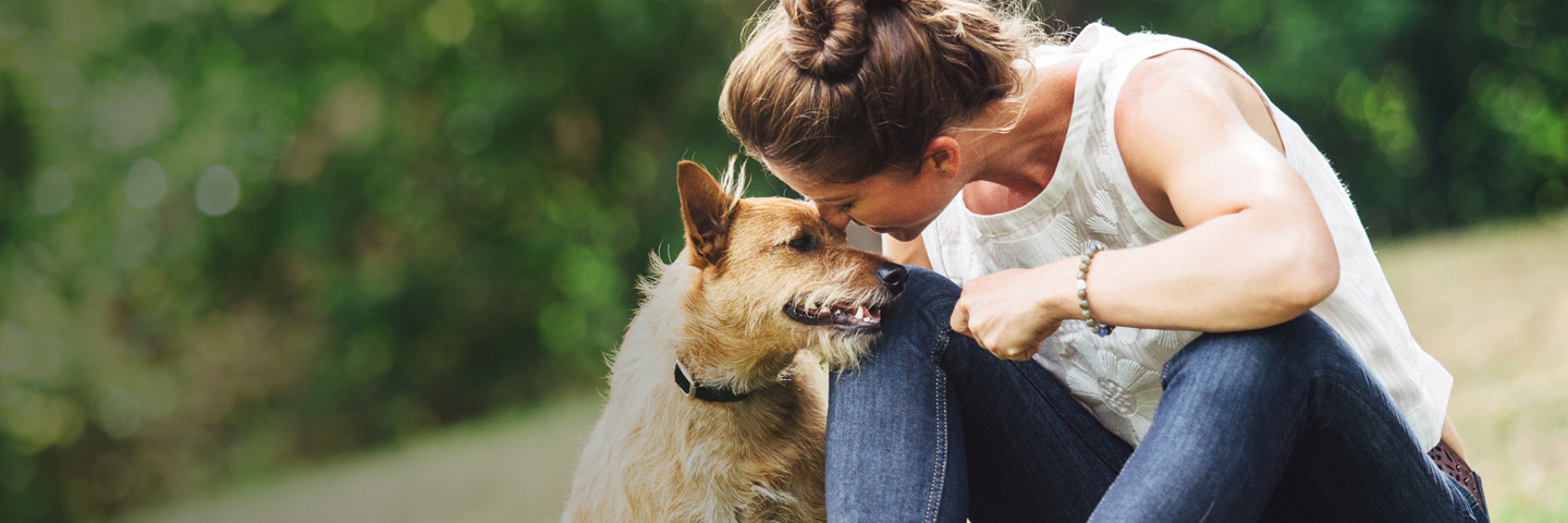 Northern Colorado DogWatch, Johnstown, Colorado | BarkCollar No-Bark Trainer Slider Image